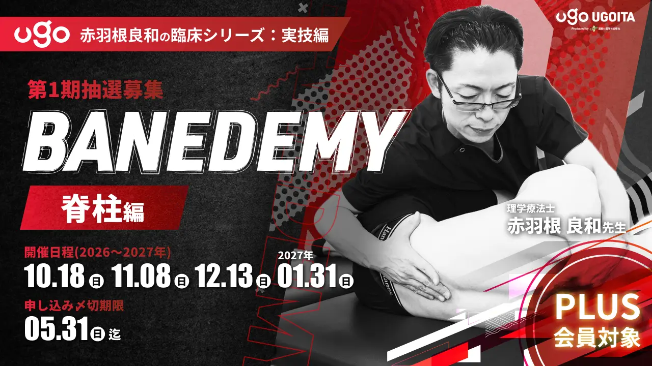 BANEDEMY 脊柱編